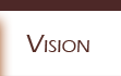 Vision